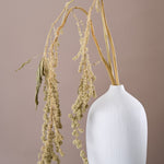 ［ドライフラワー］アマランサス グリーン