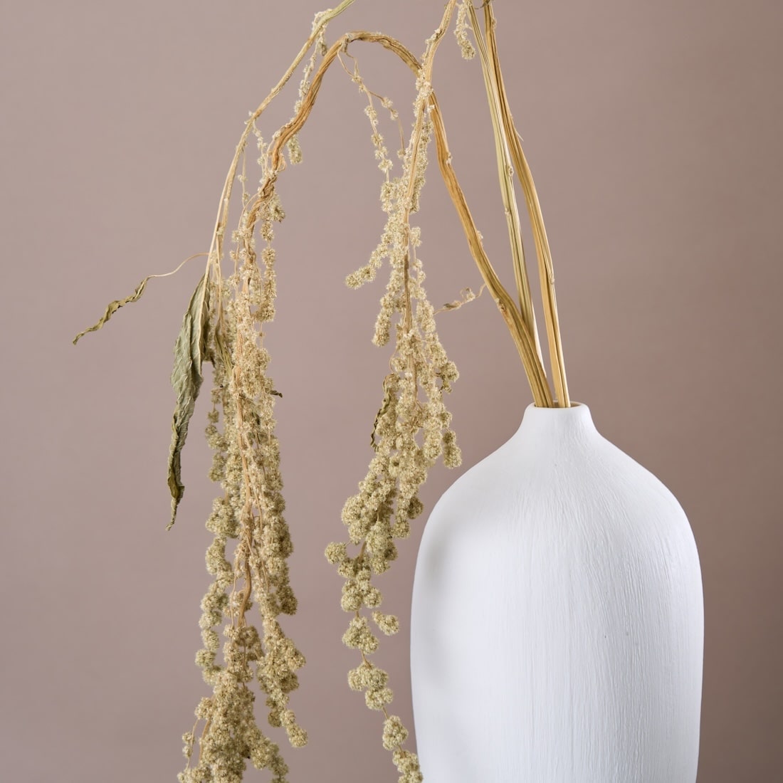 ［ドライフラワー］アマランサス グリーン