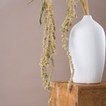 ［ドライフラワー］アマランサス グリーン