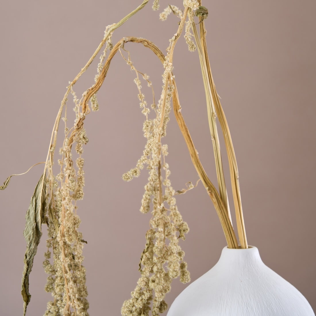 ［ドライフラワー］アマランサス グリーン