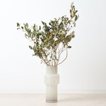 【期間限定30%OFF】［BIGボタニカル｜ドライ］チャノキ  100-120cm