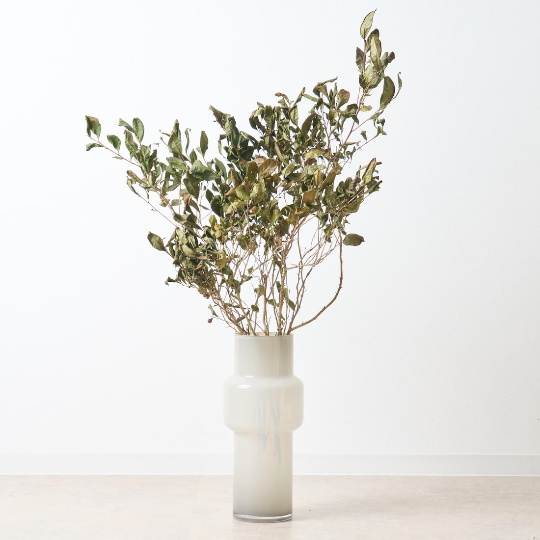 【期間限定30%OFF】［BIGボタニカル｜ドライ］チャノキ  100-120cm