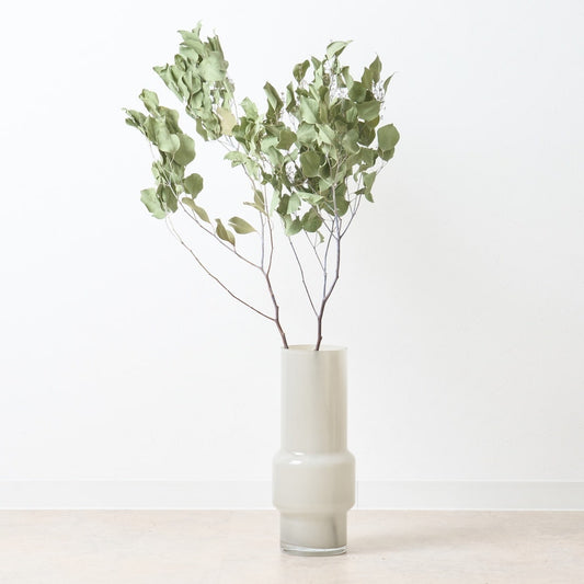 ［BIGボタニカル｜ドライ］ユーカリ ポポラスベリー 90-100㎝