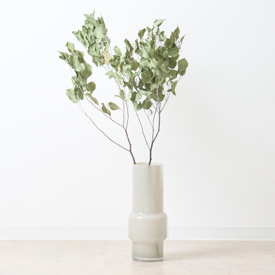 ［BIGボタニカル｜ドライ］ユーカリ ポポラスベリー 90-100㎝