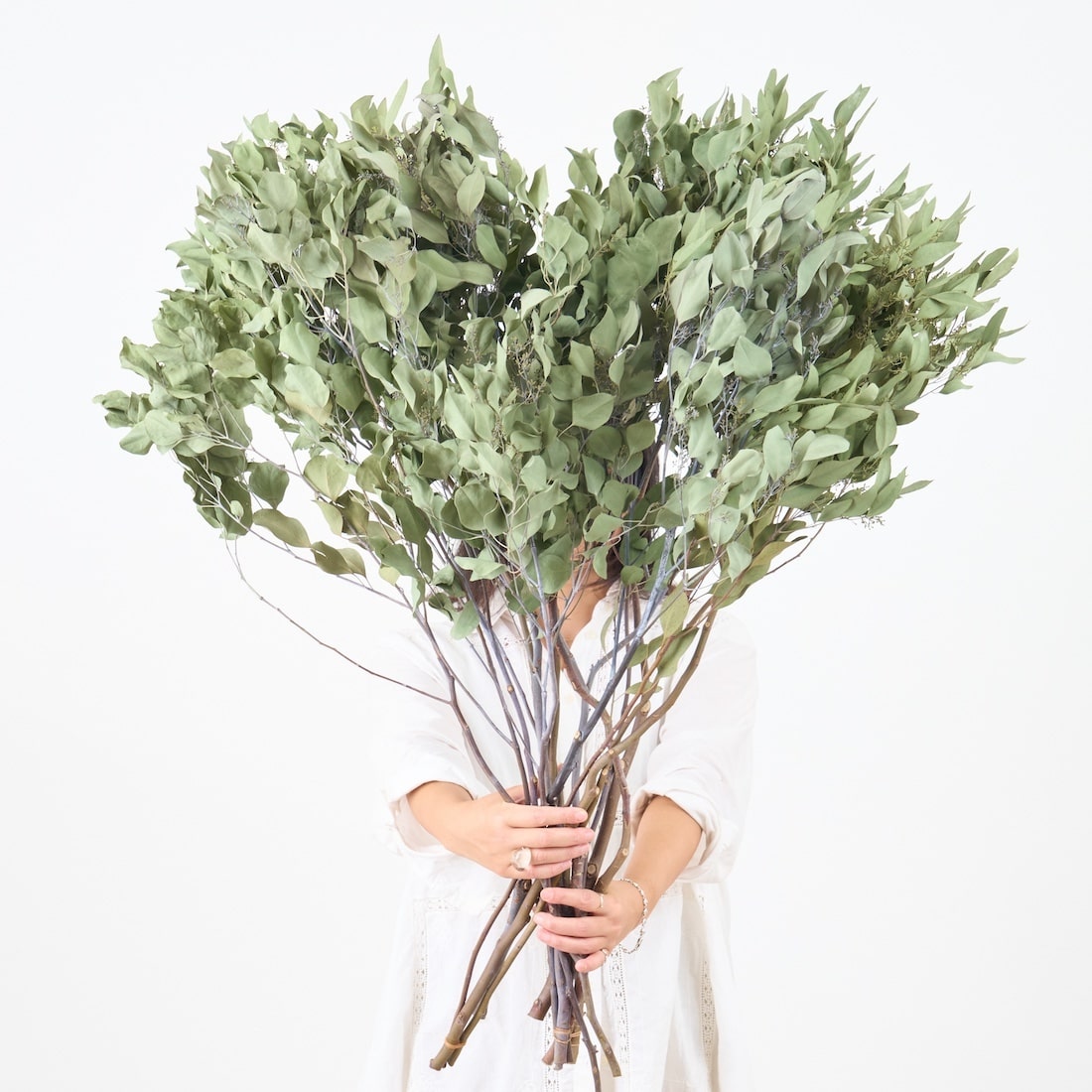 ［BIGボタニカル｜ドライ］ユーカリ ポポラスベリー 90-100㎝