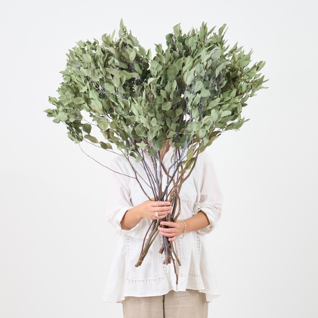 ［BIGボタニカル｜ドライ］ユーカリ ポポラスベリー 90-100㎝