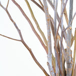 ［BIGボタニカル｜ドライ］ユーカリ ポポラスベリー 90-100㎝