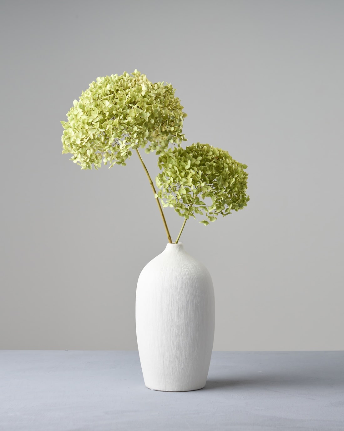 ドライフラワー］紫陽花 アナベル 商品ページ - 土と風の植物園