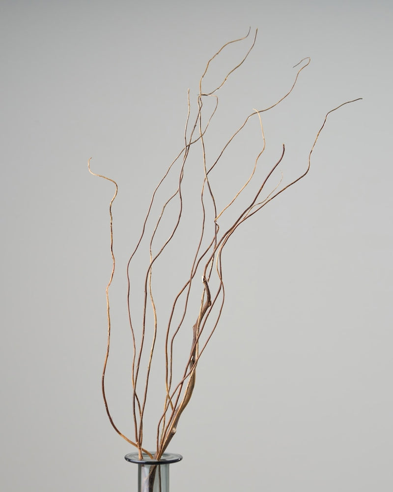 まとめ買いでお得に