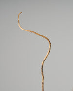 ［ドライフラワー］雲竜柳