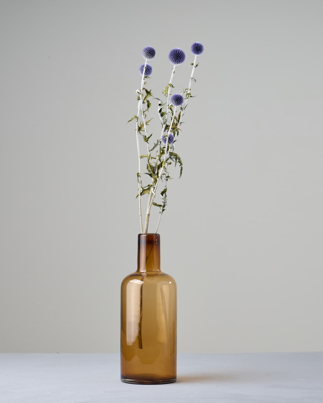 ドライフラワー］ルリ玉アザミ ベッチーズブルー 商品ページ - 土と風