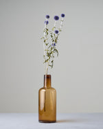 ［ドライフラワー］ルリ玉アザミ ベッチーズブルー