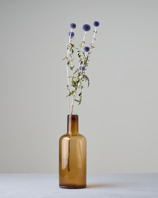 ［ドライフラワー］ルリ玉アザミ ベッチーズブルー