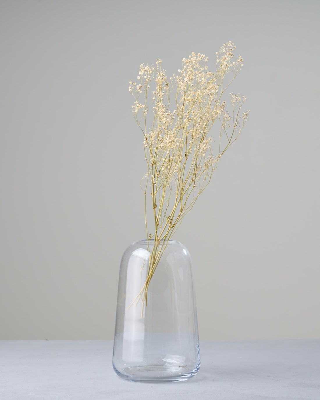 ドライフラワー］カスミソウ商品ページ - 土と風の植物園