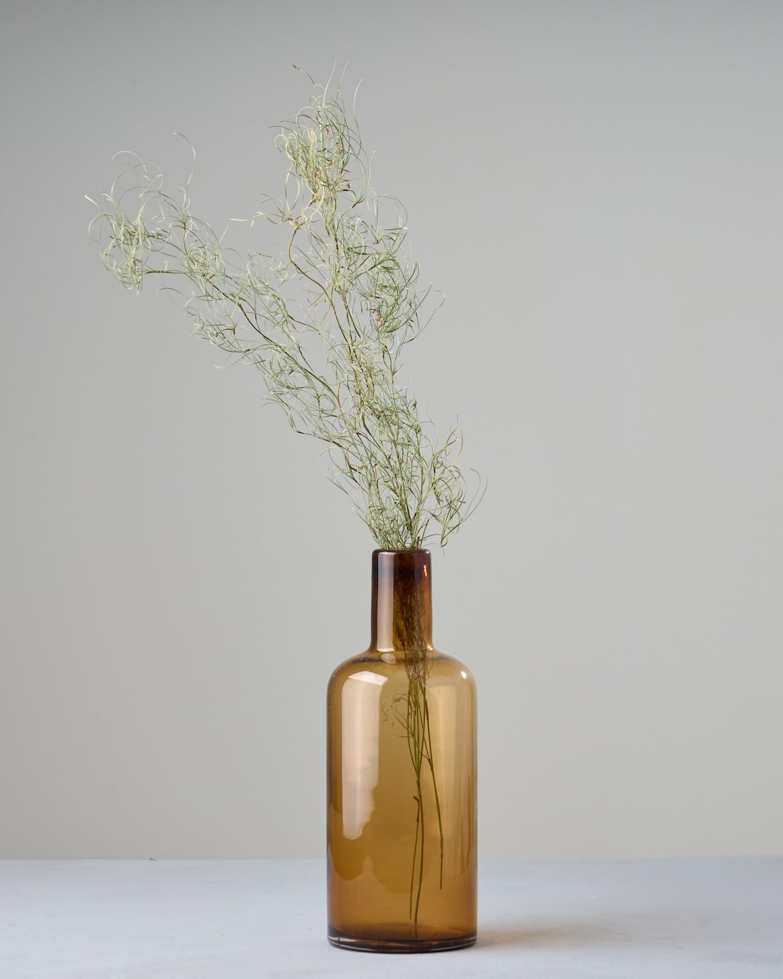 ［ドライフラワー］ゴアナクロー