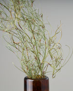 ［ドライフラワー］ゴアナクロー