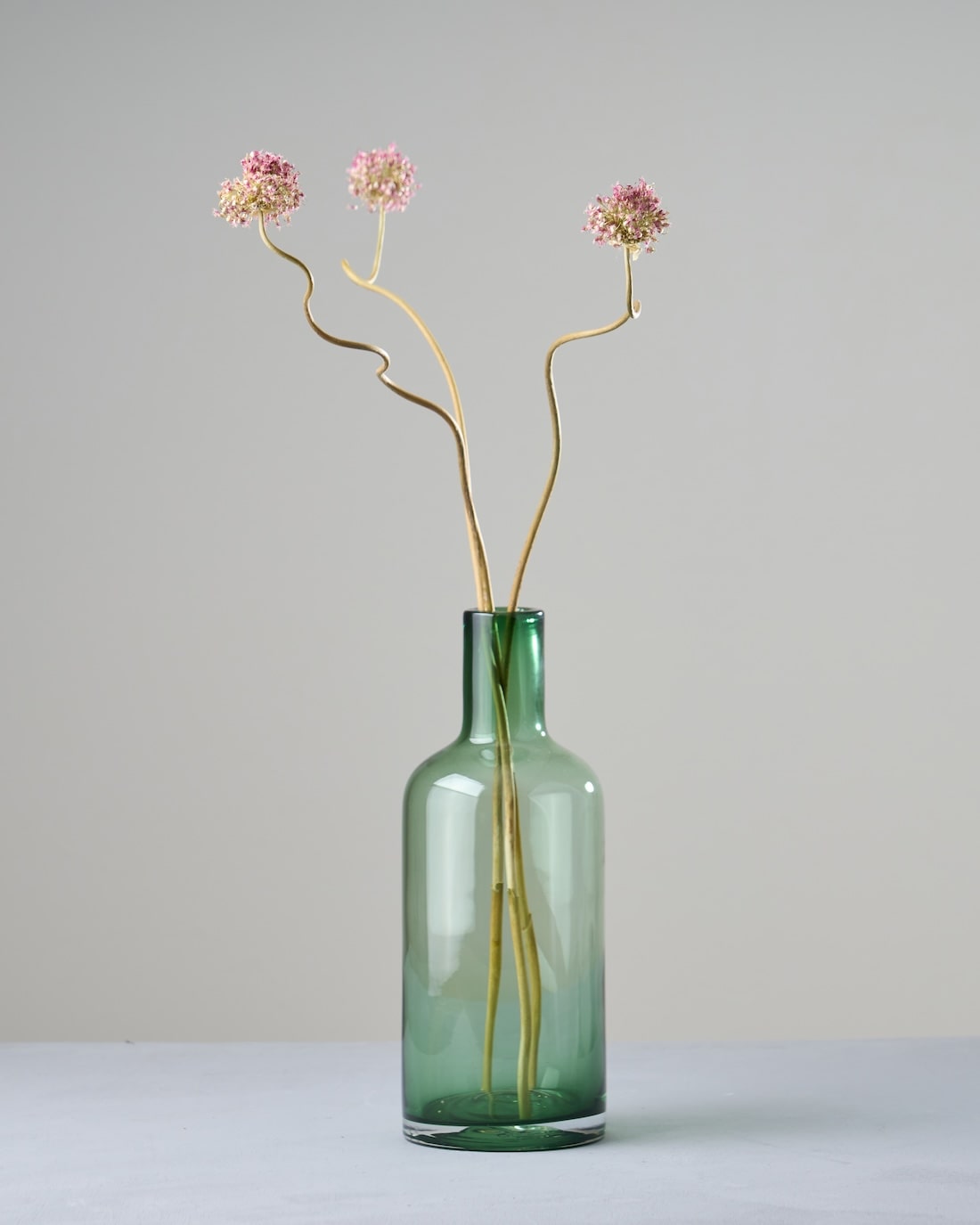 ［ドライフラワー］アリウム 丹頂