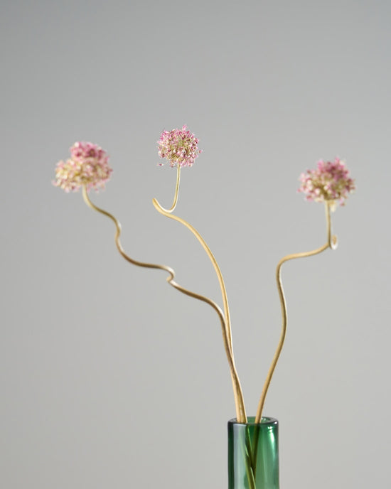 ［ドライフラワー］アリウム 丹頂