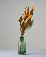 ［ドライフラワー］グレビレアゴールド