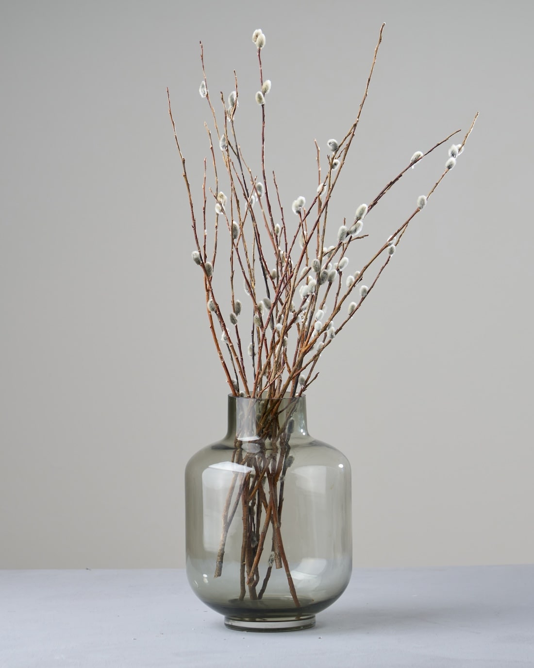 ドライフラワー］ネコヤナギ商品ページ - 土と風の植物園