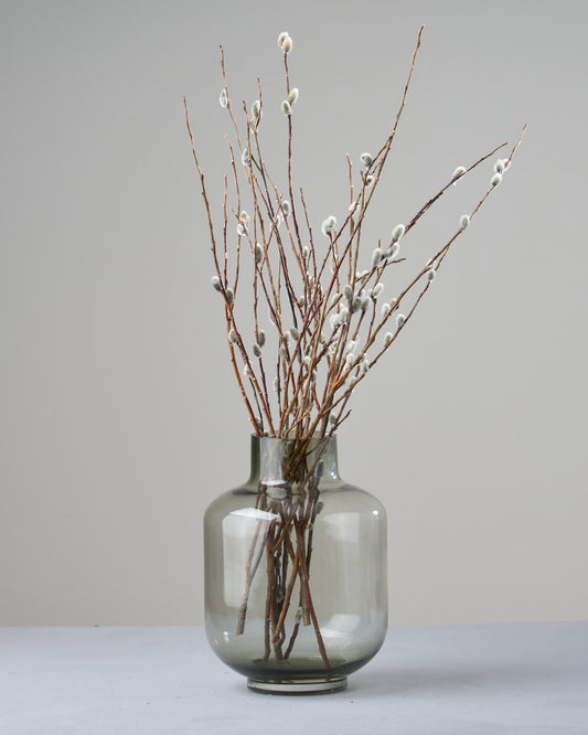 ［ドライフラワー］ネコヤナギ