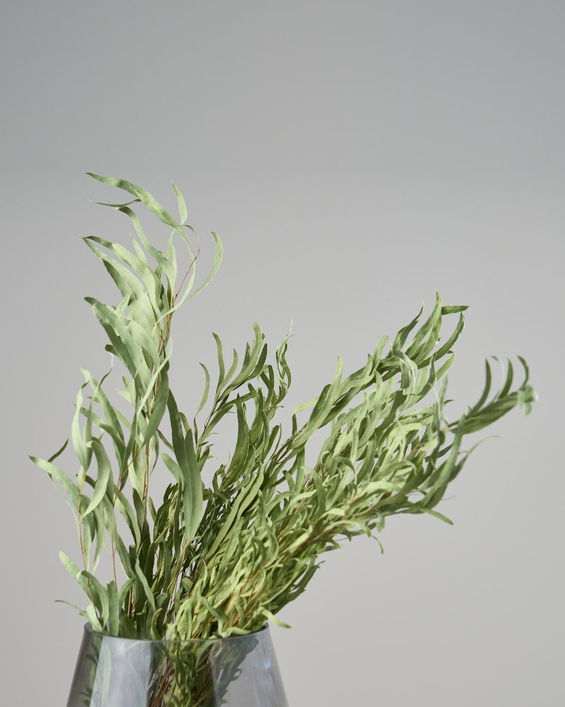 専用＊感謝sale＊ラムズイヤー＆ユーカリポポラス 白グレー ドライリース ユーカリリース | STORES