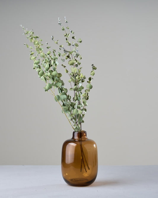 ［ドライフラワー］ユーカリ グニー