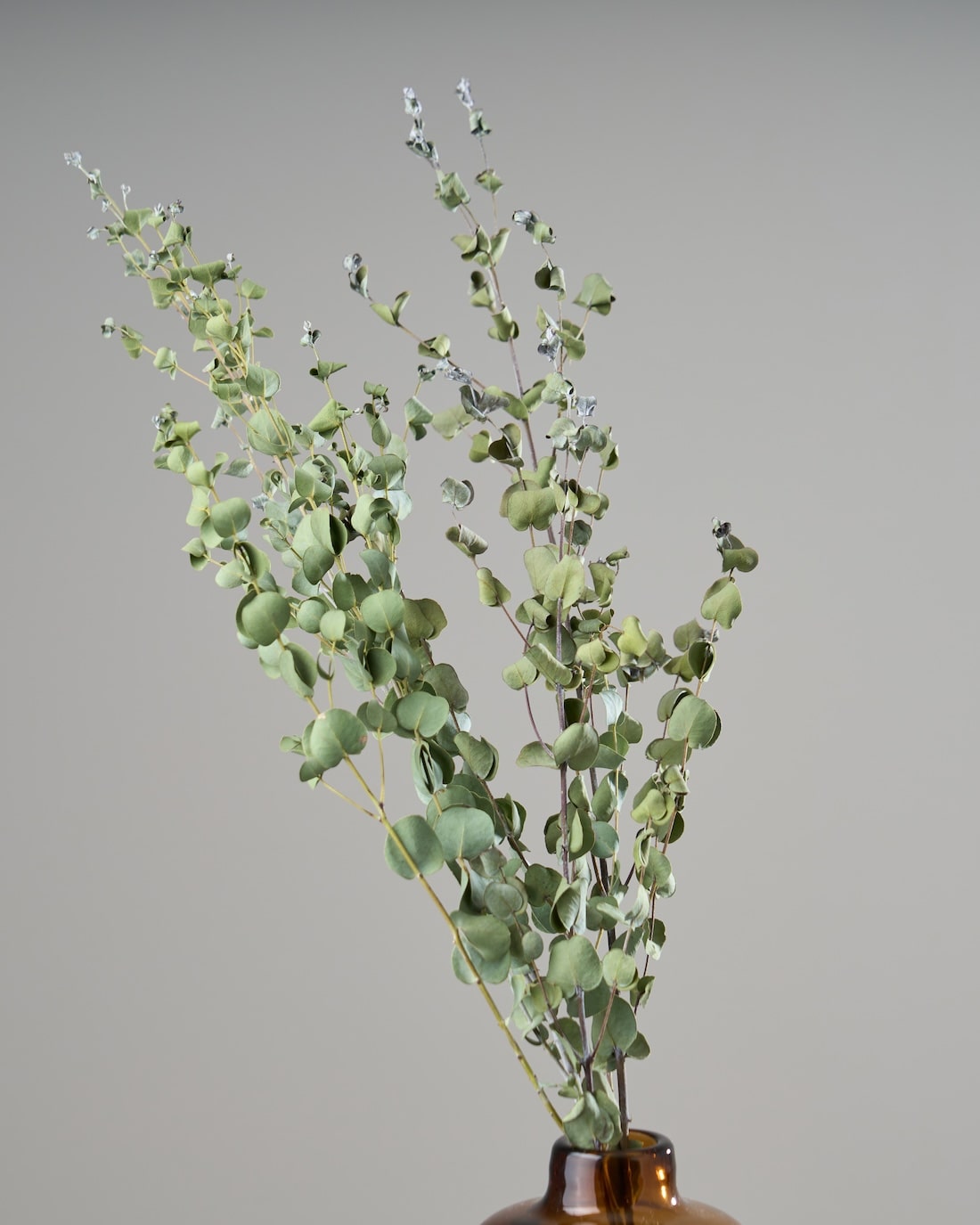 専用＊アジサイ＆ユーカリポポラス　白グレー　ドライフラワーリース 専用＊アジサイ＆ユーカリポポラス 白グレー ドライフラワーリース