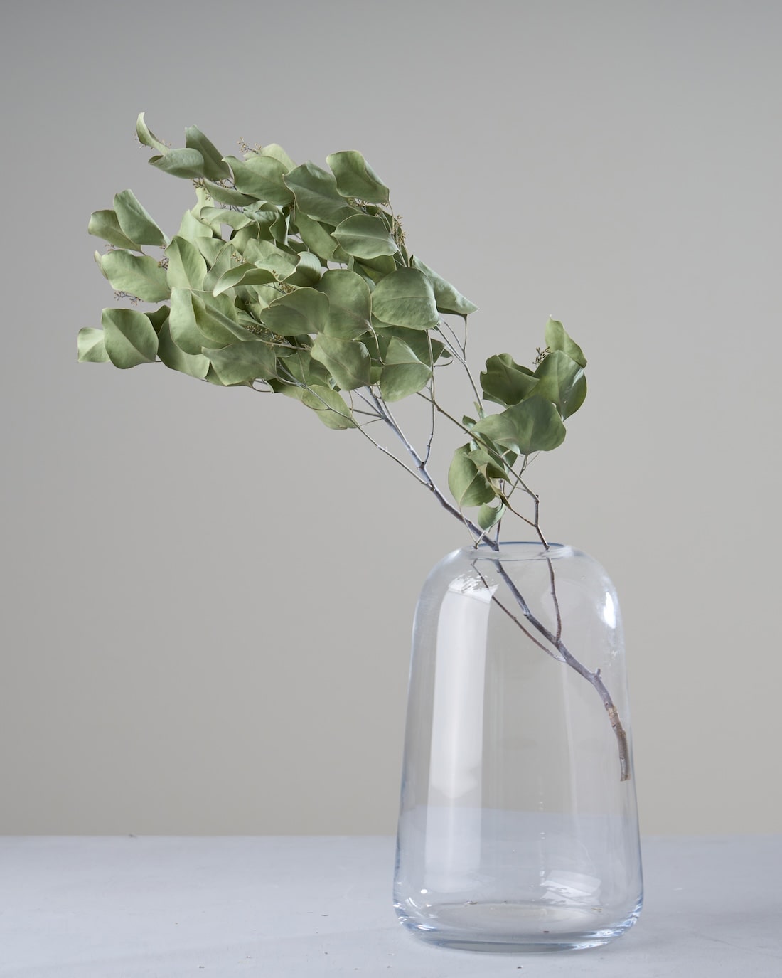 ドライフラワー］ユーカリ ポポラスベリー商品ページ - 土と風の植物園