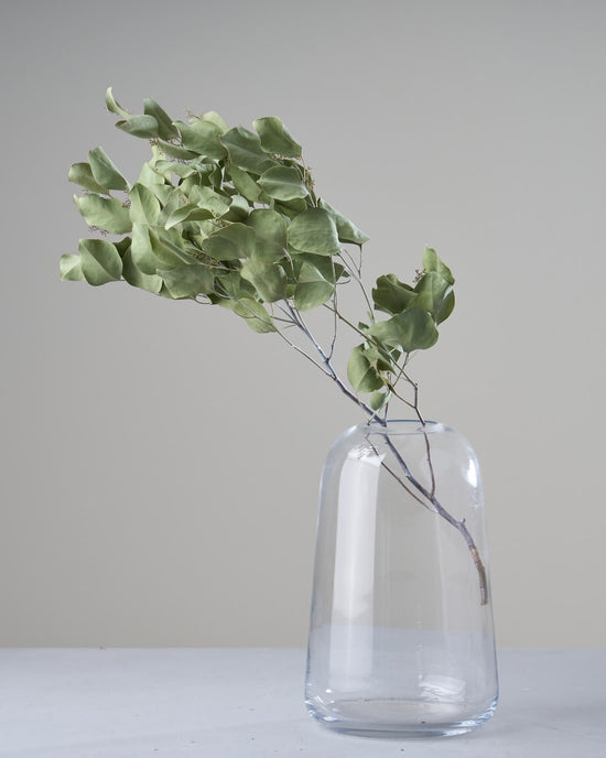 ［ドライフラワー］ユーカリ ポポラスベリー