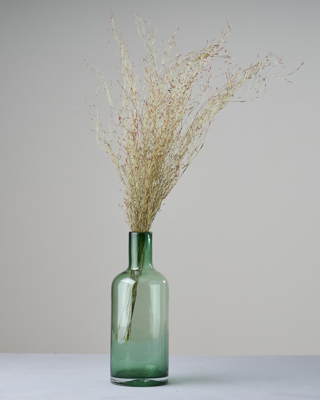 ［ドライフラワー］エミューファン