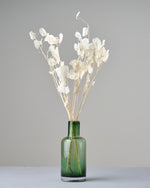 ［ドライフラワー］ルナリア （クリア）