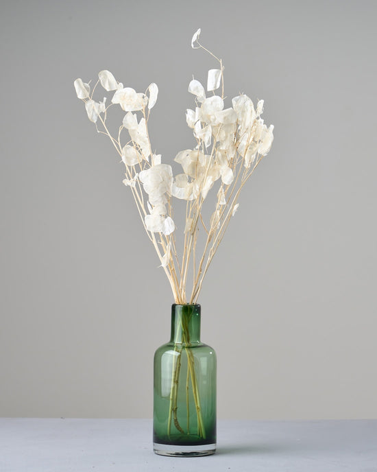 ［ドライフラワー］ルナリア （クリア）