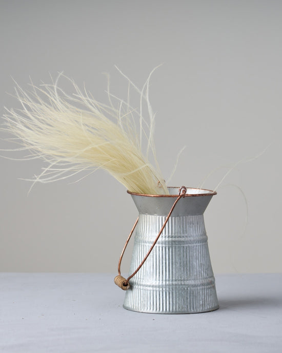 ［ドライフラワー］フェザーグラス