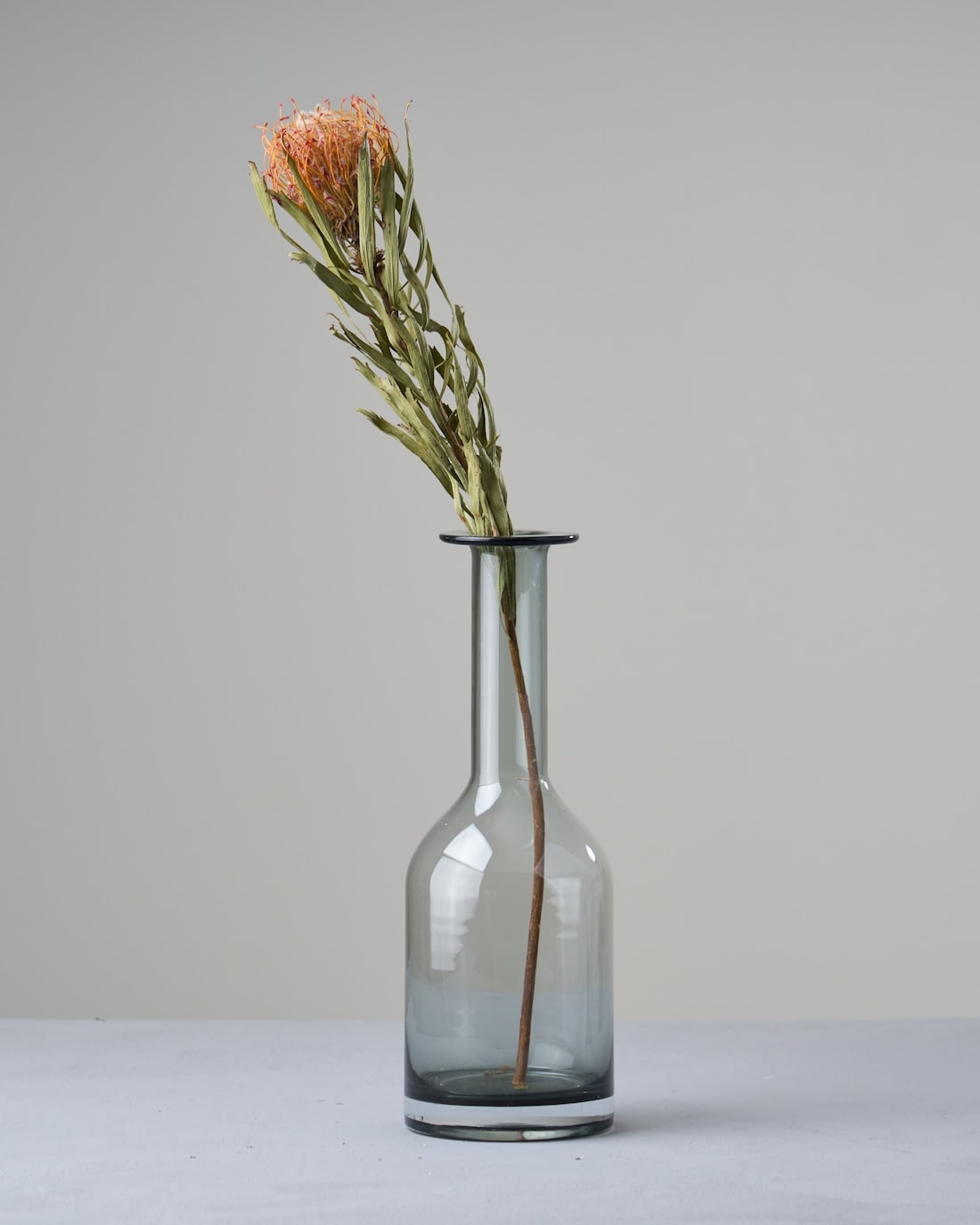 ドライフラワー］ピンクッション商品ページ - 土と風の植物園