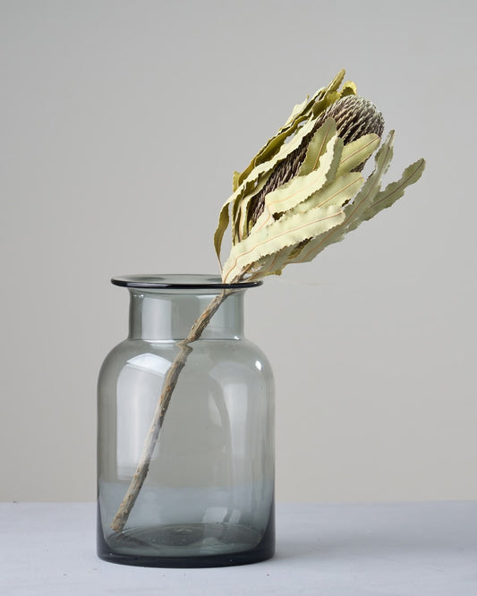 ［ドライフラワー］バンクシア メンジェイシー