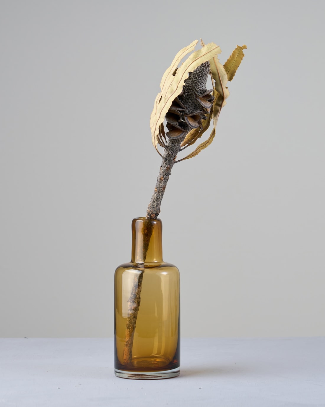 ドライフラワー　オブジェ　バンクシア 楽天市場】造花 バンクシア 1本 インテリア 飾り 装飾 花