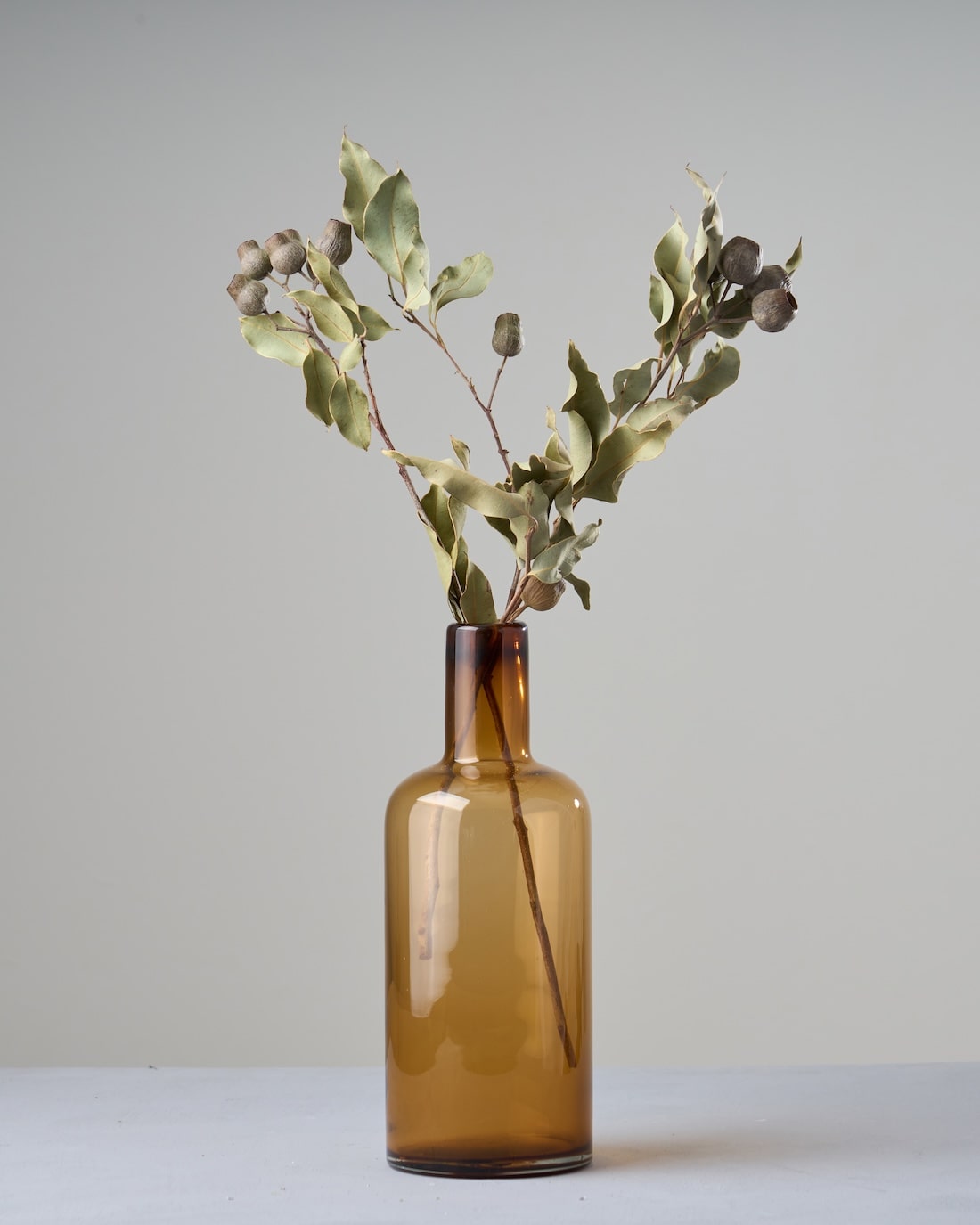 ［ドライフラワー］ユーカリ トランペット