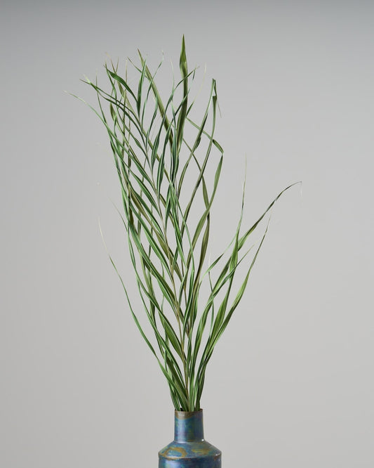 ［ドライフラワー］アレカヤシ