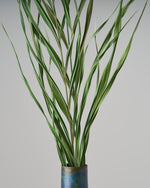 ［ドライフラワー］アレカヤシ