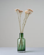 ［ドライフラワー］ライスフラワー