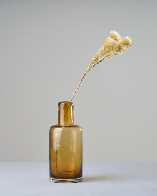 ［ドライフラワー］フィリカ プルモーサ