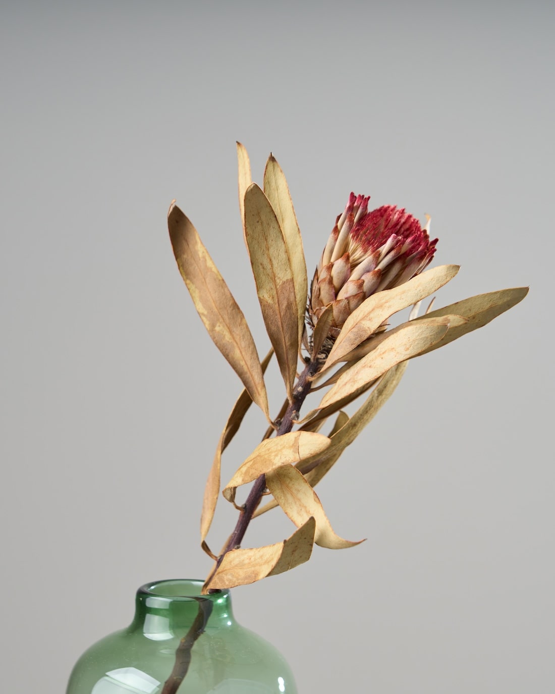 20250812_0179-min_1100x.jpg?v=