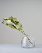 ［ドライフラワー］レモンリーフ