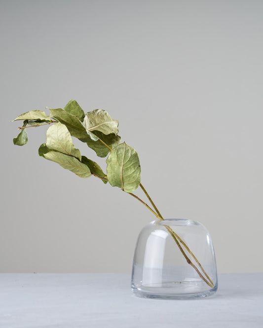 ［ドライフラワー］レモンリーフ