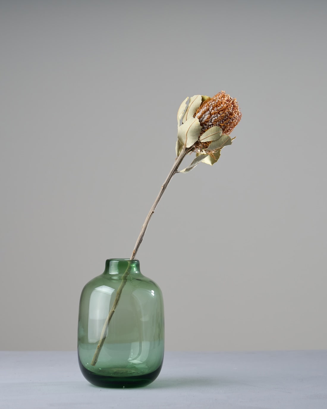 ［フラワーベース］カラーガラスベース プランプ