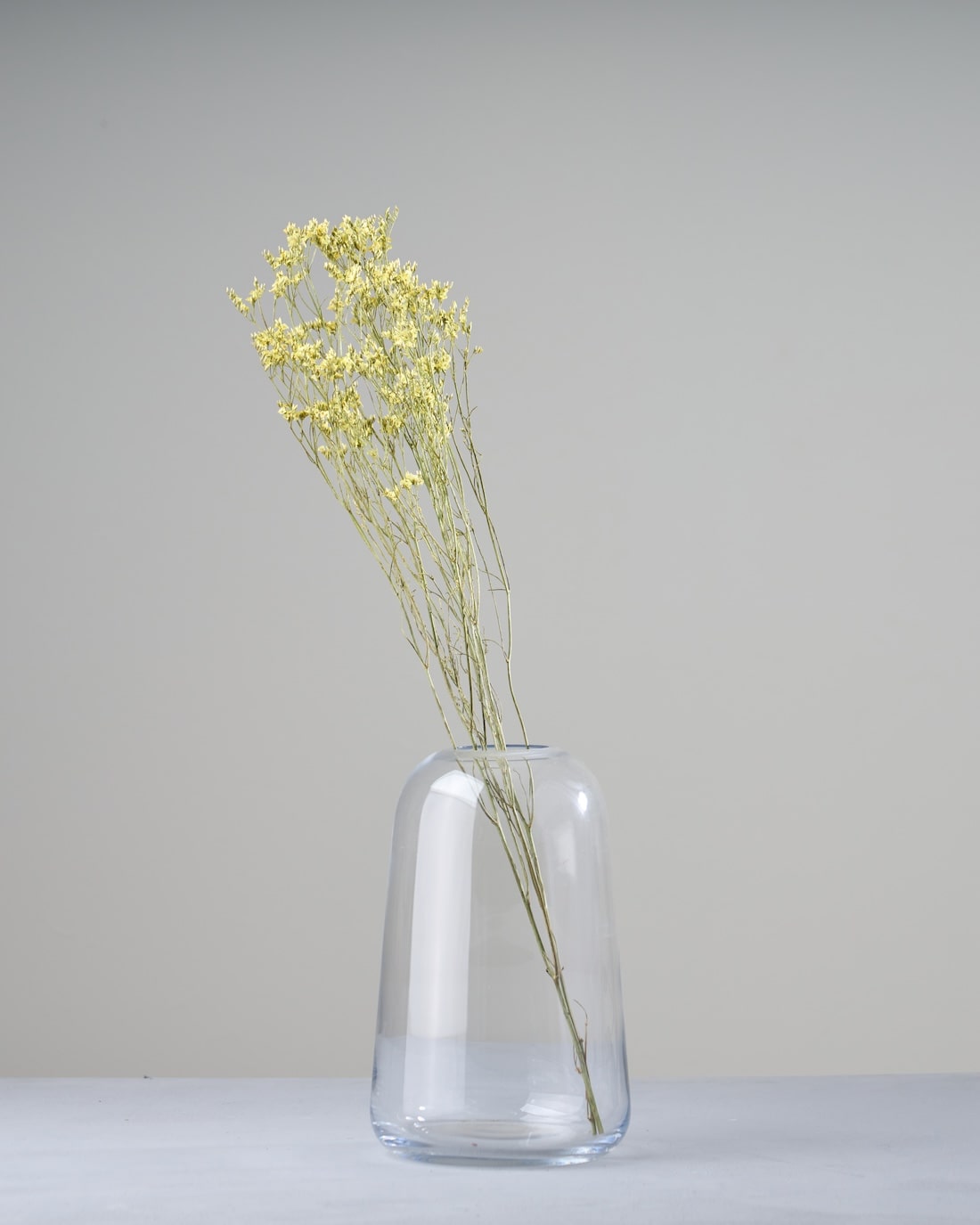 ［ドライフラワー］宿根スターチス