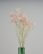 ［ドライフラワー］宿根スターチス