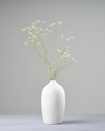 ［ドライフラワー］宿根スターチス