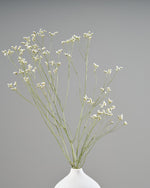 ［ドライフラワー］宿根スターチス